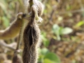 DSCF2878