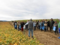 Fajtabemutatók – 2013. szeptember 18. – Bak
