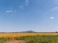 Fajtabemutatók – 2013. szeptember 5. – Prügy